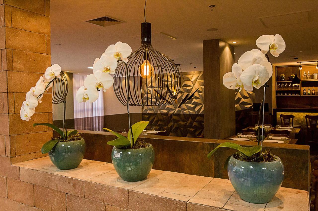 Bristol Vicosa Hotel Dış mekan fotoğraf